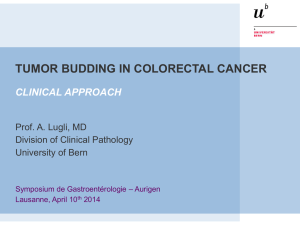 tumor budding in colorectal cancer