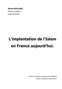 L`implantation de l`Islam en France aujourd`hui.