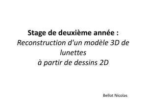 Stage de deuxième année : Reconstruction d`un modèle 3D de