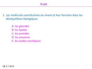Les_molecules__UE2.1_2014_partie2