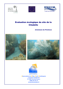 Inventaire Citadelle - Observatoire du Milieu Marin Martiniquais