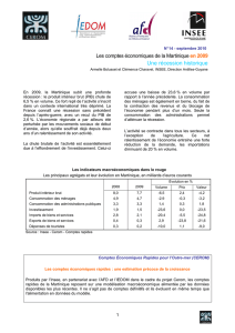 Les comptes economiques de la Martinique en 2009 : Une