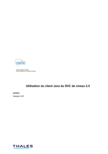 Utilisation du client Java du SVC de niveau 2.5