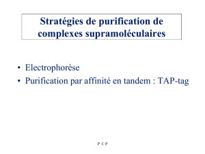 Stratégies de purification de complexes supramoléculaires