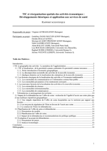 TIC et réorganisation spatiale des activités économiques