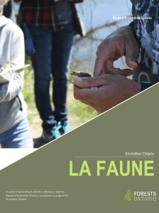 Module sur la faune