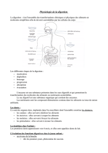 Physiologie de la digestion - Fichier