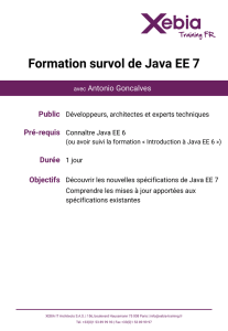 Programme de la formation survol de Java EE 7