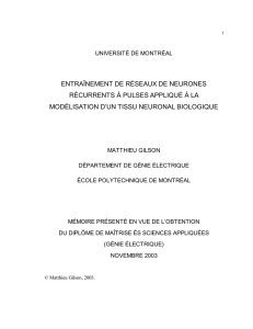 entra&icirc;nement de r&eacute;seaux de neurones r&eacute;currents &agrave; pulses appliqu&eacute;