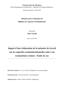 I- Mémoire de travail - Service Central d`Authentification Université