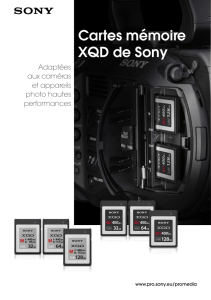 Sony XQD Memory Cards Cartes mémoire XQD de Sony
