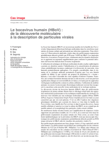 Le bocavirus humain (HBoV) : de la découverte moléculaire à la
