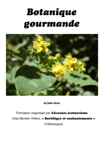 Recettes de « plantes sauvages » du 7 mai 2008