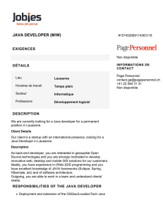 java developer (m/w)