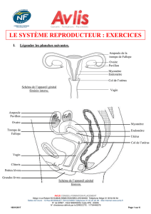 le système reproducteur : exercices