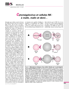 Cytomégalovirus et cellules NK: à malin, malin et - iPubli