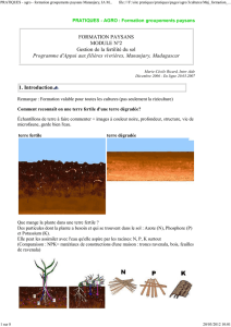 PRATIQUES - agro - formation groupements paysans