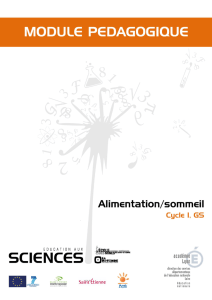 Alimentation et sommeil - Cycle 1