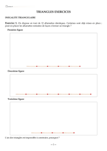 TRIANGLES EXERCICES