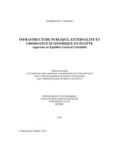 Infrastructure publique, externalité et croissance économique en