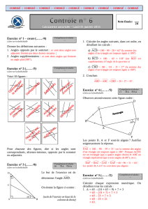 Exercice n° 1 – cours (……/4)