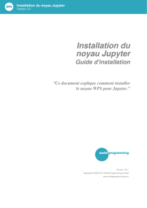 WPS-kernel-for-Jupyter-installation-guide-fr