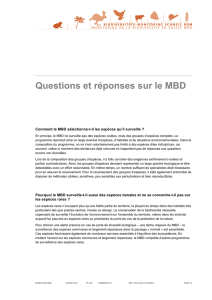 Questions et réponses sur le MBD