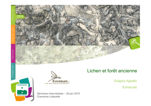 Lichen et forêt ancienne