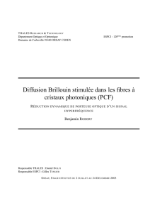 Diffusion Brillouin stimulée dans les fibres à cristaux photoniques