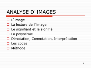 analyse d`images - Intranet | IUT de Troyes