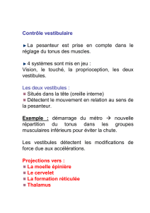 Diapositive 1 - Julien Lagarde PhD