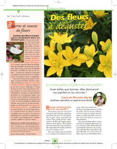 Des fleurs - Magazine Racines