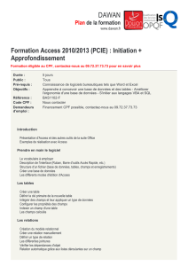 Formation Access 2010/2013 (PCIE) : Initiation +