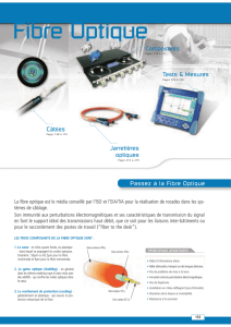 Fibre Optique - David Telecom