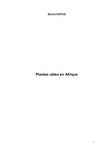 Plantes utiles en Afrique