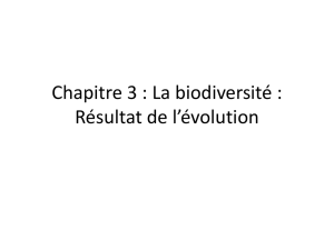 Chapitre 3 : La biodiversité : Résultat de l`évolution