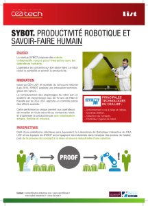 sybot. productivité robotique et savoir-faire humain