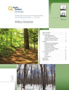 Milieu forestier - Hydro