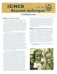 IZiNCG Résumé technique