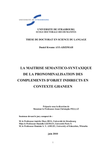 la maitrise semantico-syntaxique de la pronominalisation des