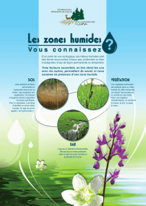 végétation sol eau - Comité Départemental en faveur des Zones