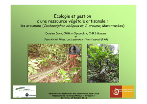 Ecologie et gestion d`une ressource végétale artisanale : l`arouman