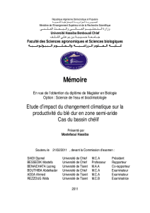 Mémoire - Catalogue en ligne Université Hassiba Benbouali de Chlef