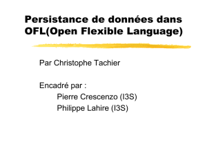 Persistance de données dans OFL(Open Flexible Language)