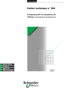 Protections BT et variateurs de vitesse