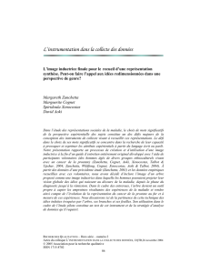 L`image inductrice finale pour le recueil d`une représentation