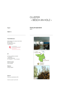 cluster « bësch an holz - Portail de l`Environnement