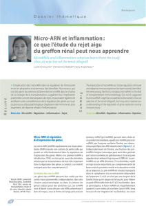 Micro-ARN et inflammation : ce que l`étude du rejet aigu