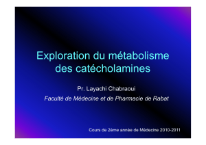 Exploration du métabolisme des catécholamines