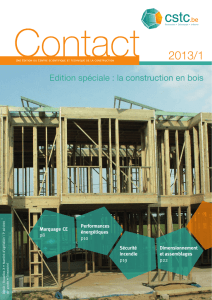 CSTC-Contact 2013/1